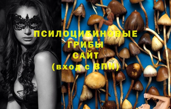 спайс Дмитровск