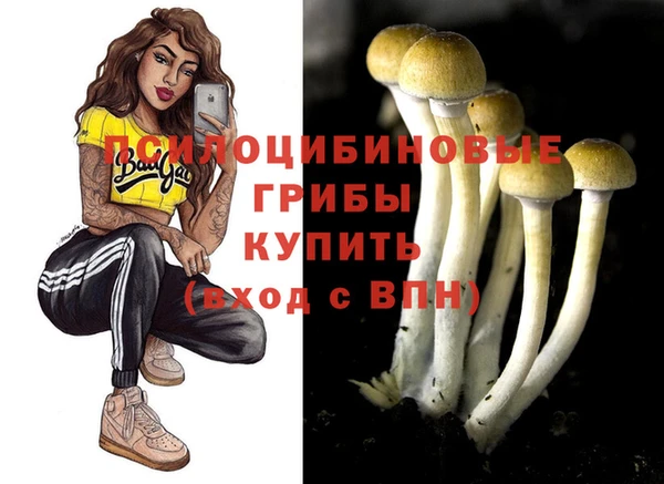 каннабис Дмитров