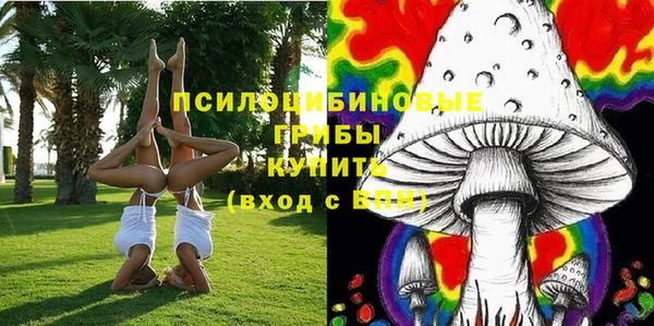 спайс Дмитровск