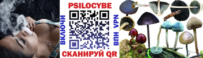 Купить  Темников  Псилоцибиновые грибы Psilocybine cubensis 